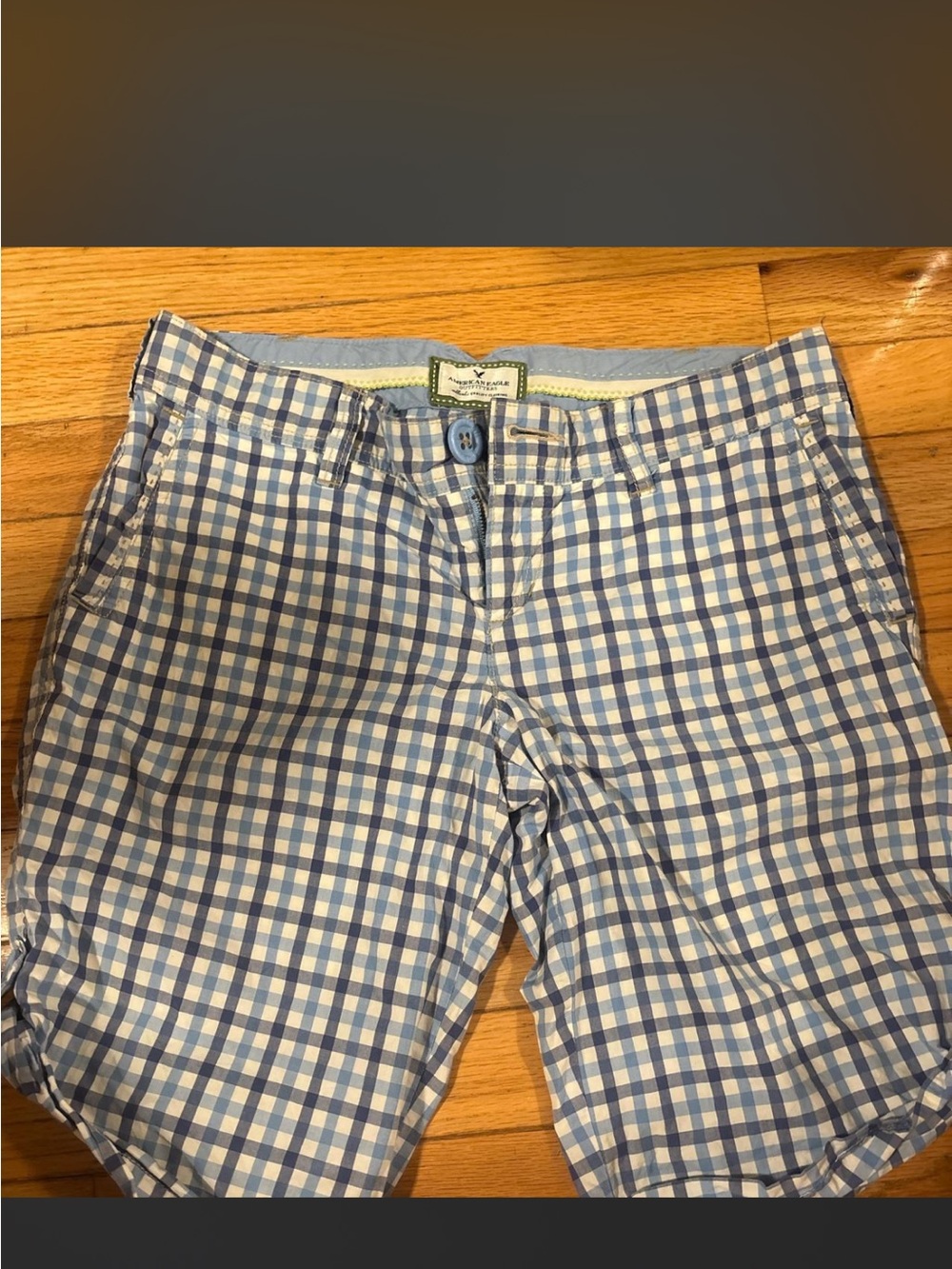 American Eagle Outfitters Blue and White Gingham Flat Front Shorts